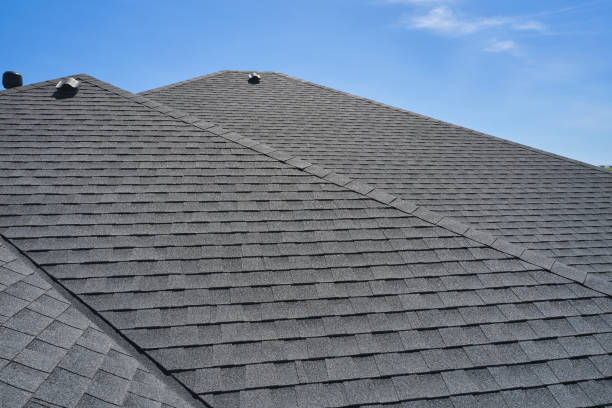 Best Roof Coating Services  in Oak Grove, TN